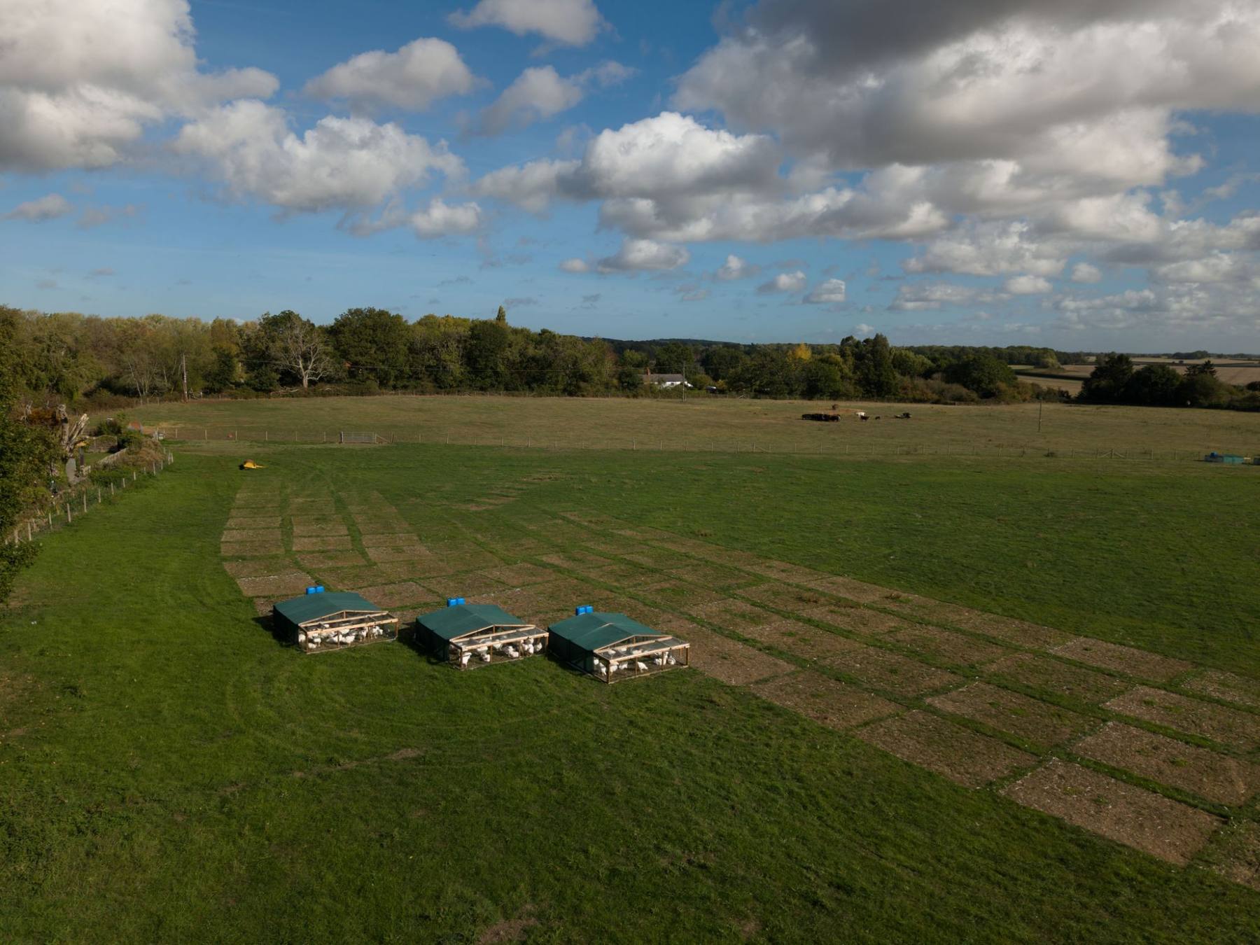 Aerial view of Zero Miles poultry hubs and grazing cattle on a working farm