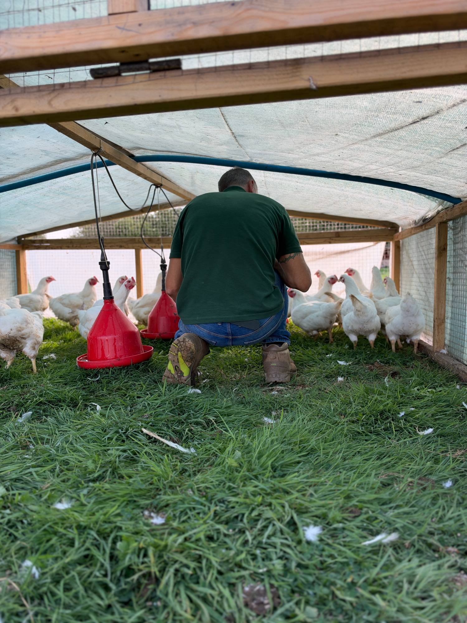A Zero Miles hub owner at work inside their poultry hub