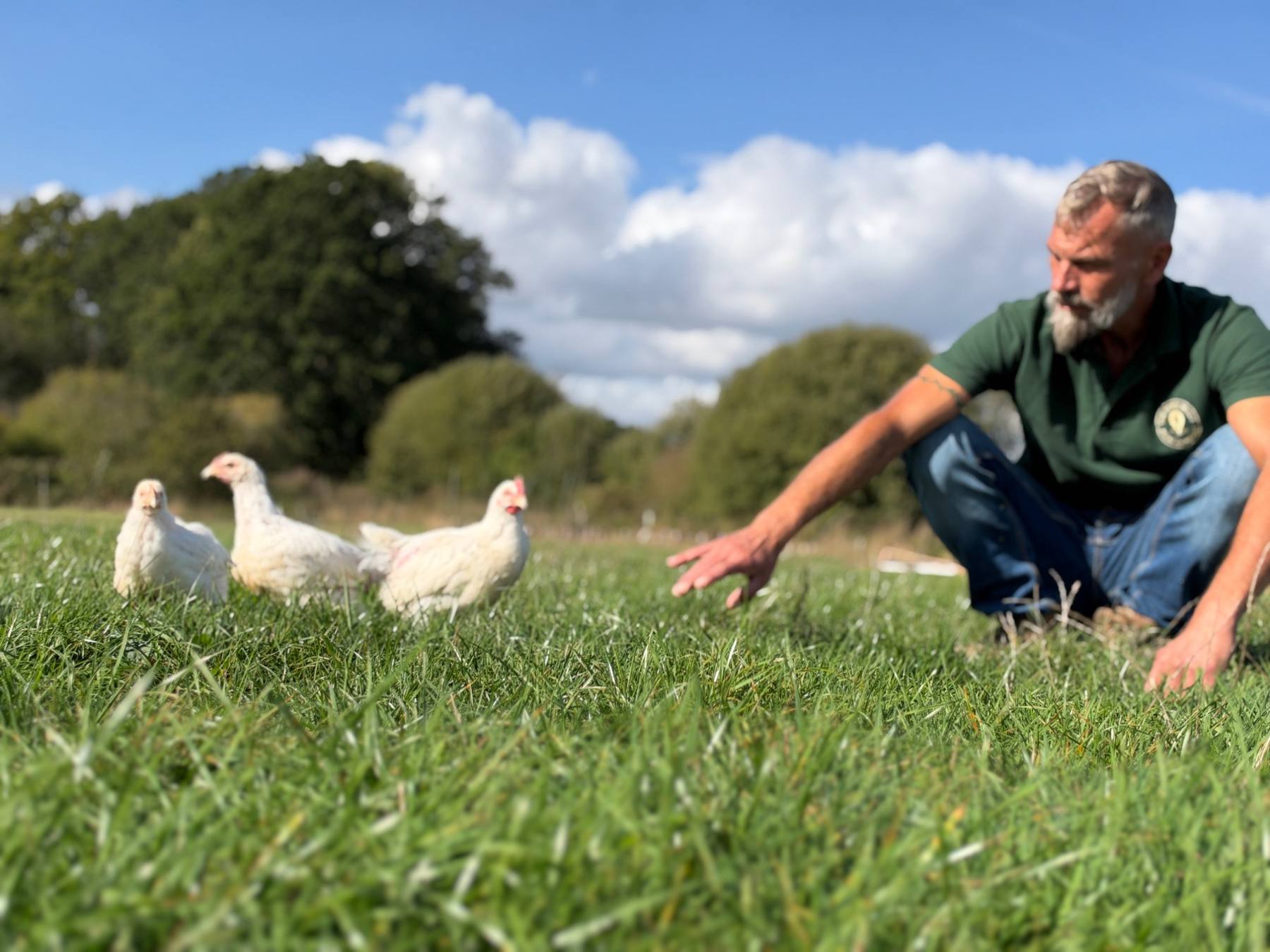 A Zero Miles farmer with chickens out on pasture